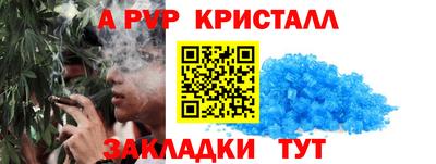 стафф Бийск