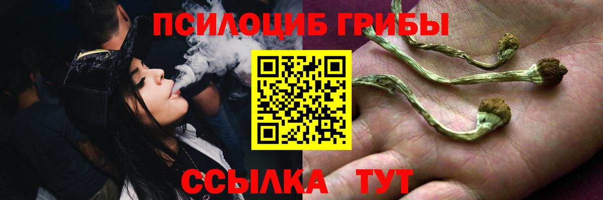 Галлюциногенные грибы MAGIC MUSHROOMS  Вход с VPN  Калуга  Псилоцибиновые грибы Psilocybine cubensis 
